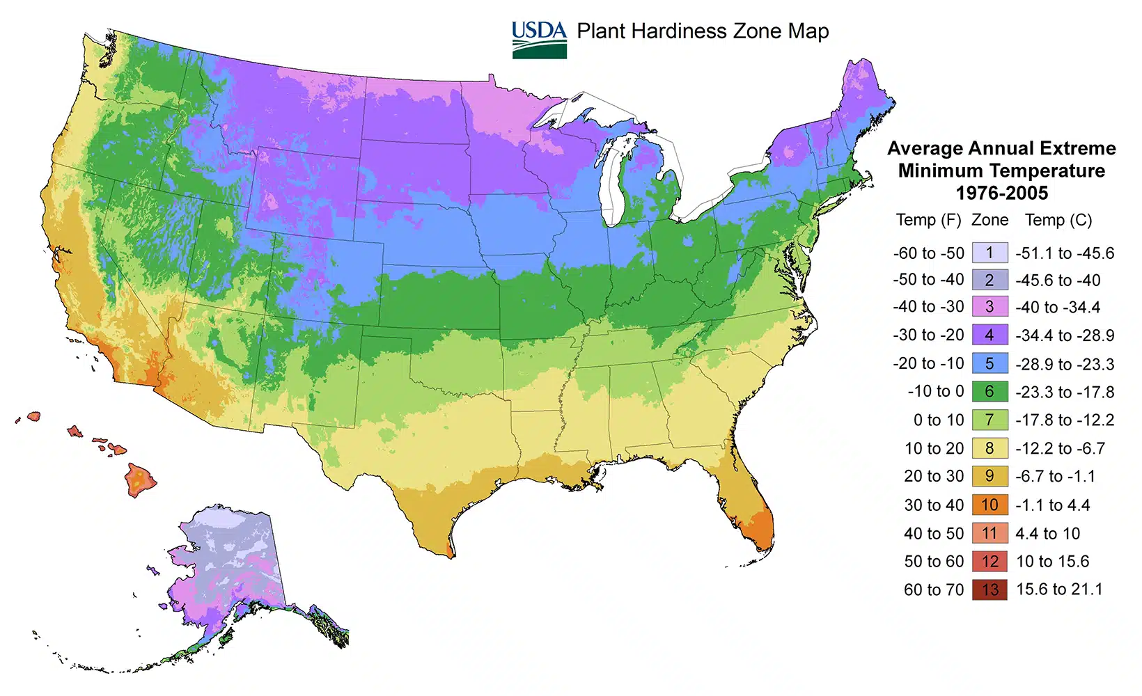 Apple Tree Growing Guide - Food Forest Nursery